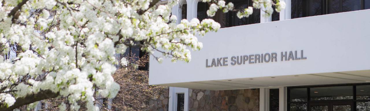 Spring photo of a tree with white flowers in front of Lake Superior Hall.